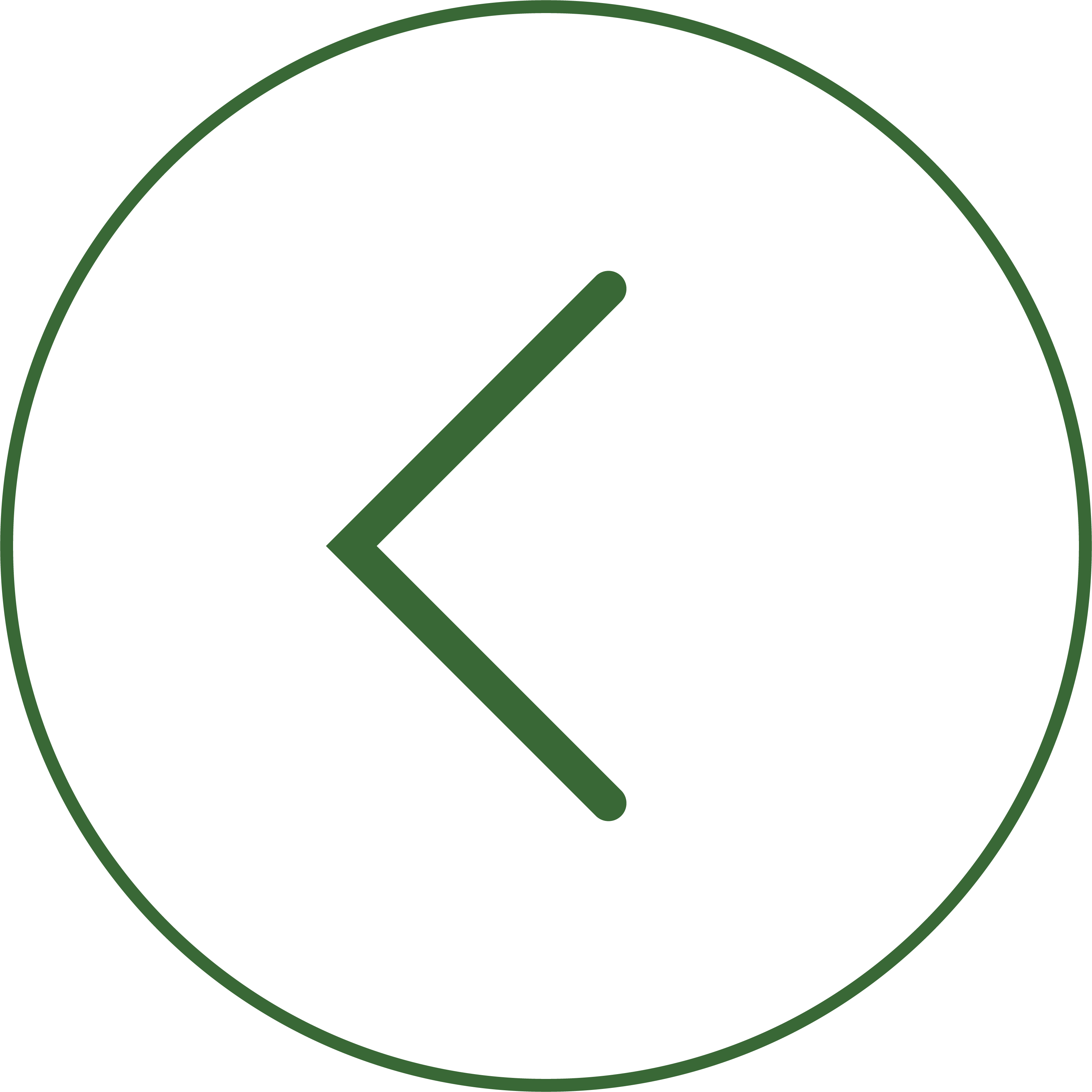 Anterior
